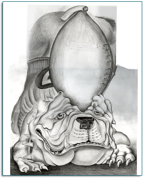 Bull Dawg Drawing